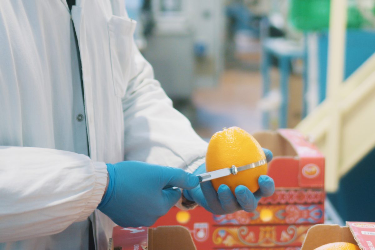 CS-Unifrutti_Oranges-inspection-at-Oranfrizer-in-Catania-Sicily-6-1200x800.jpg