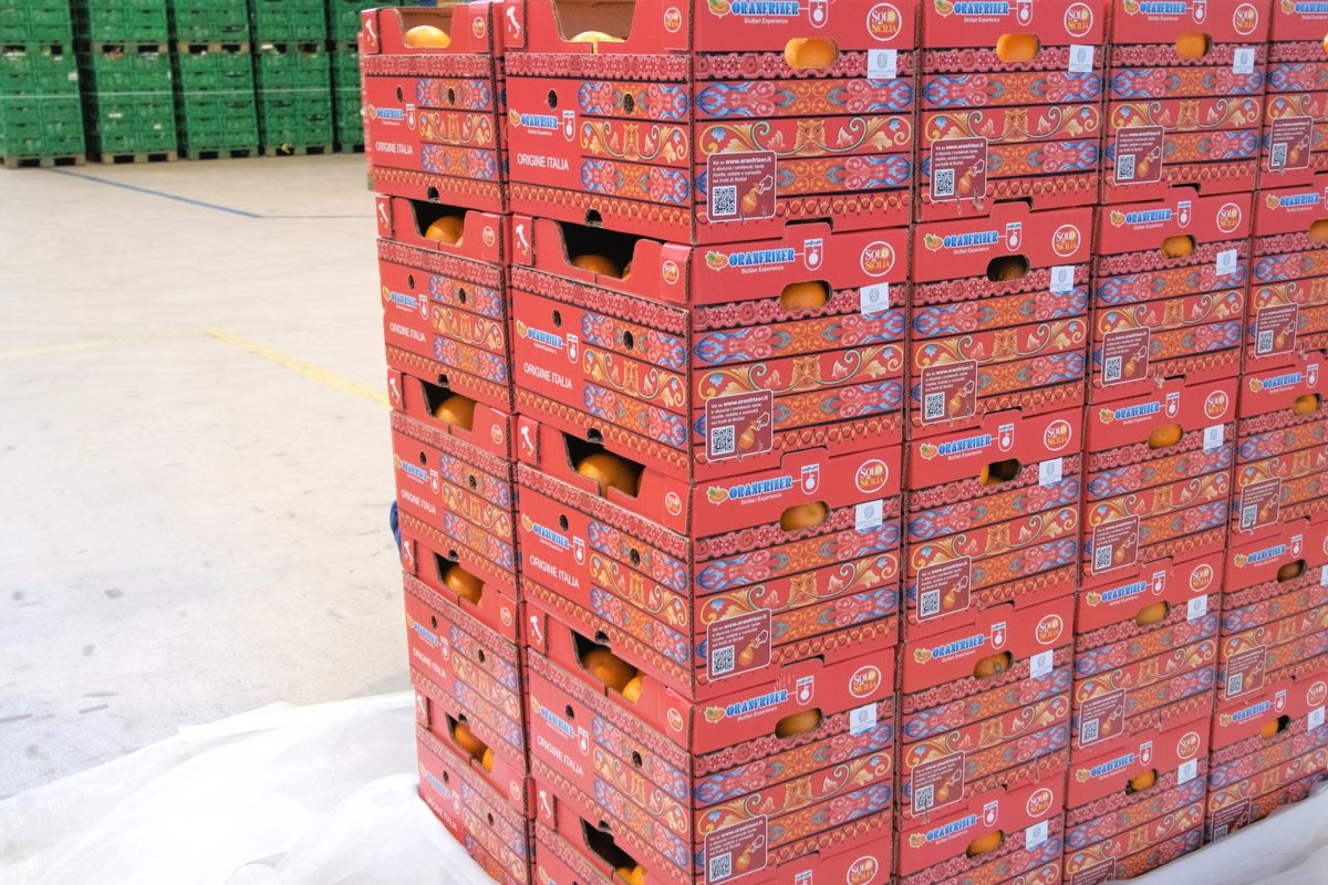 CS-Unifrutti_Sicilian-Blood-Oranges-processing-at-Oranfrizer-in-Catania-Sicily-6-1200x800.jpg
