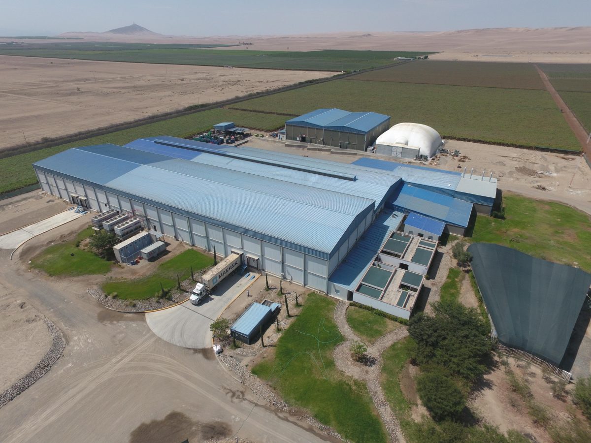 Unifrutti Group to acquire Safco in Peru, expanding global leadership in table grapes