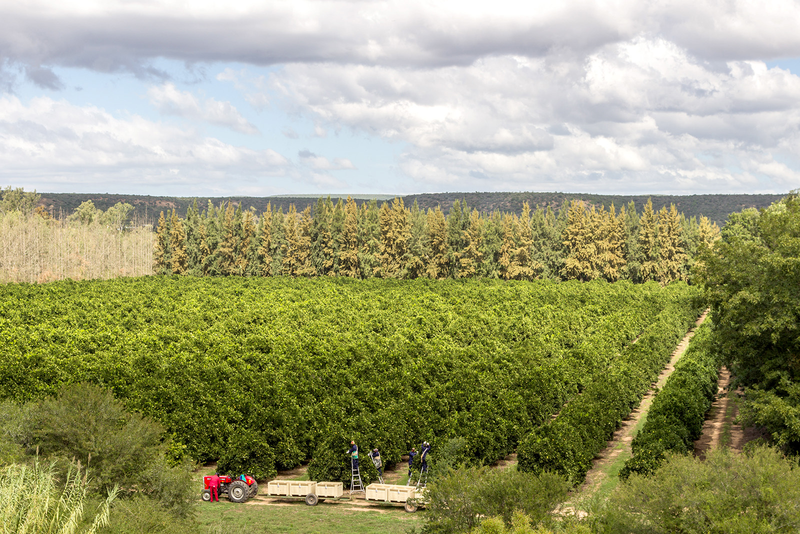 Standards and Certifications